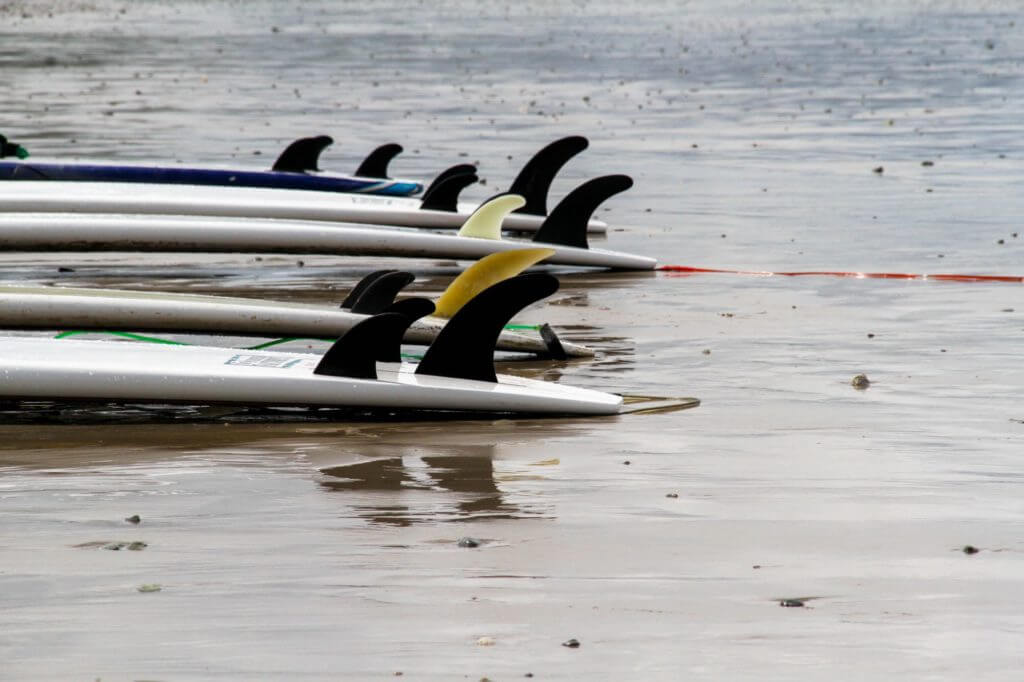 flipped surfboards on the water